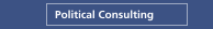 Political Consulting